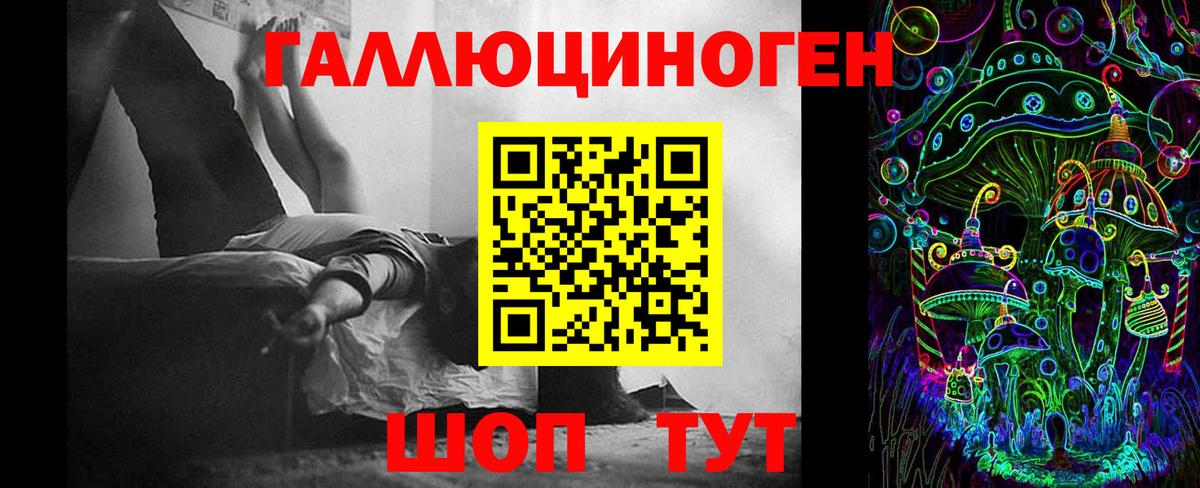 Галлюциногенные грибы Psilocybe Ишимбай