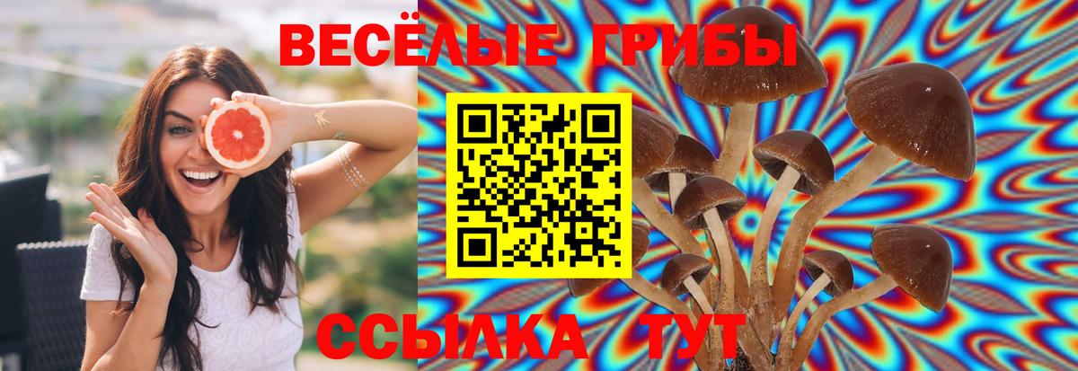 Ишимбай  Псилоцибиновые грибы ЛСД  магазин продажи   Вход с VPN  Псилоцибиновые грибы ЛСД 